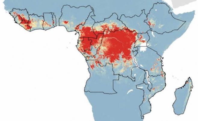 Os países susceptíveis a surtos de ébola, as regiões a vermelho são as com mais risco do vírus saltar da natureza para a população humana