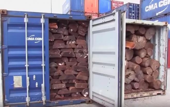 Polícia angolana desmantela fraude de madeira no Porto de Luanda