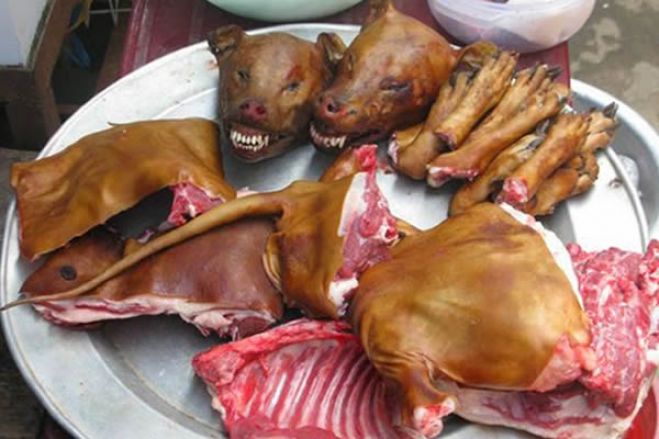 Polícia angolana detem cidadão por alegada venda de carne de cão