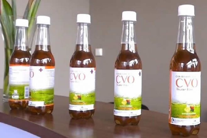 Angola prefere aguardar certificação científica sobre potencial terapêutico do &#039;Covid-Organics&#039;