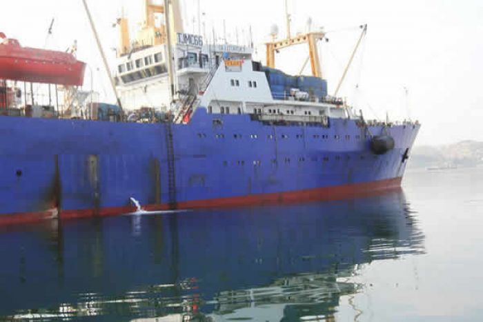 Autoridades angolanas iniciaram descarga coerciva de peixe apreendido a navio ucraniano