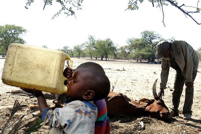 Fome e seca no sul de Angola: uma crise humanitária negligenciada