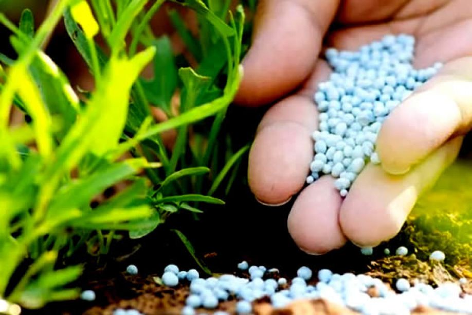Empresas angolanas investem cerca de 2,2 mil milhões de dólares em complexo de produção de fertilizantes