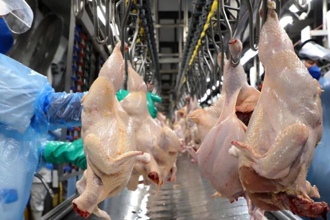 Mercado de carne de aves de Angola foi tomado por carnes dos Estados Unidos