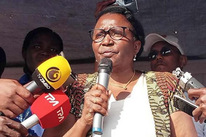 Partido Humanista acusa CNE de publicar modelos de atas que permitem eleitores-fantasma