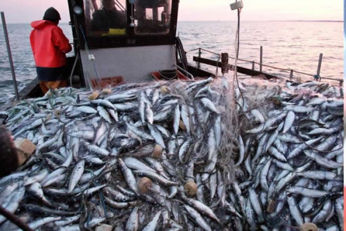 Namíbia investiga suspeitas de corrupção em acordo de doação de quotas de pesca a Angola