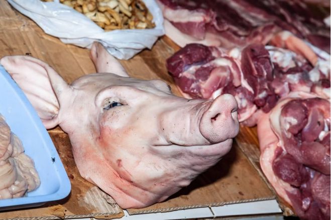 Província do Bengo suspende venda de carne de porco por suspeita de peste suína