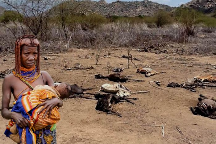 Fundos de combate à seca em Angola “foram desviados”