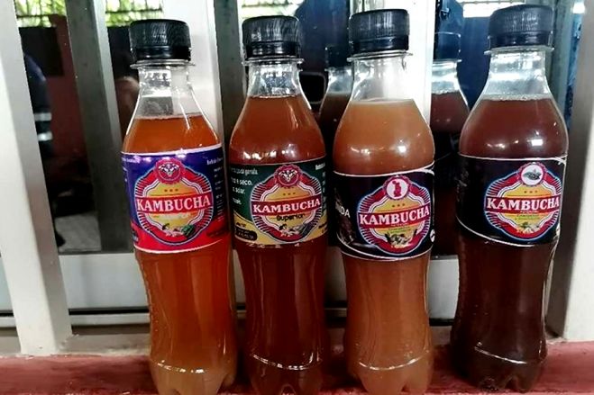 Bebidas caseiras &quot;Kambucha&quot; com ingredientes estragados, não consumir - SIC