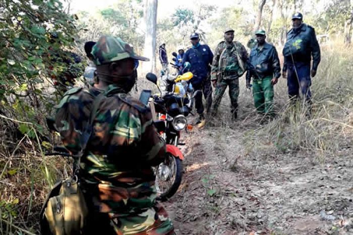 FLEC-FAC acusa exército angolano de &quot;incursão sangrenta&quot; na RDCongo