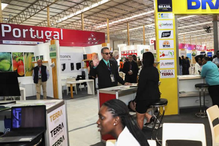 Embaixador português diz que empresas em Angola estão presentes nas horas “boas e menos boas”
