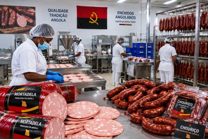 Angola importa 90% do frango consumido e avicultura não abastece indústria de enchidos