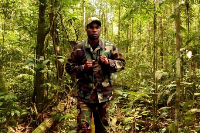FLEC denuncia "atentado terrorista" do exército angolano contra civis cabindas na RDCongo
