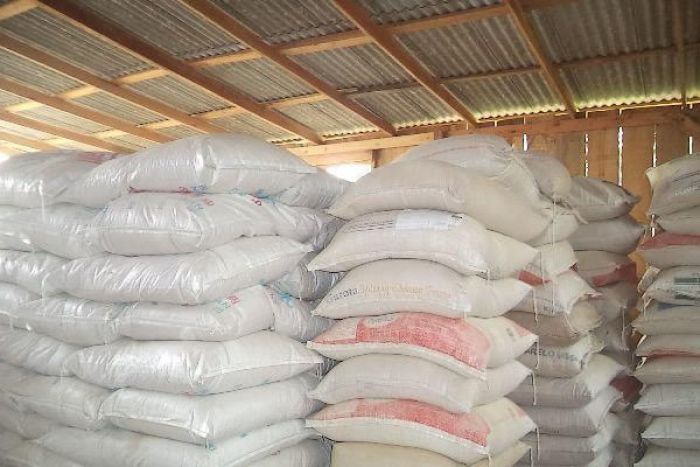 Ucrânia: Ministro angolano diz que mundo &quot;não vai parar de produzir trigo&quot; devido ao conflito