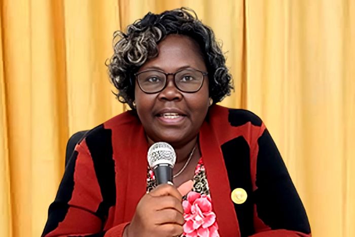 Deputada do MPLA desconstrói a ideia de que os parlamentares ganham até 20 milhões kwanzas/mês