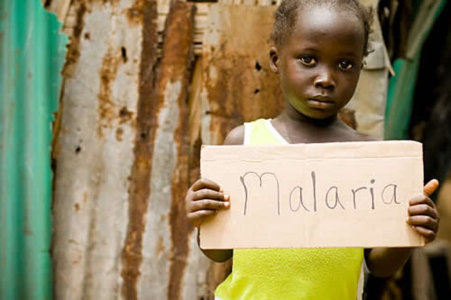 Malária mata em Angola enquanto atenções prevalecem na Covid-19