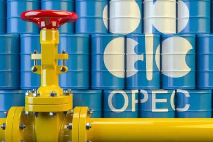 Petróleo valoriza após anúncio de corte de produção da OPEP+
