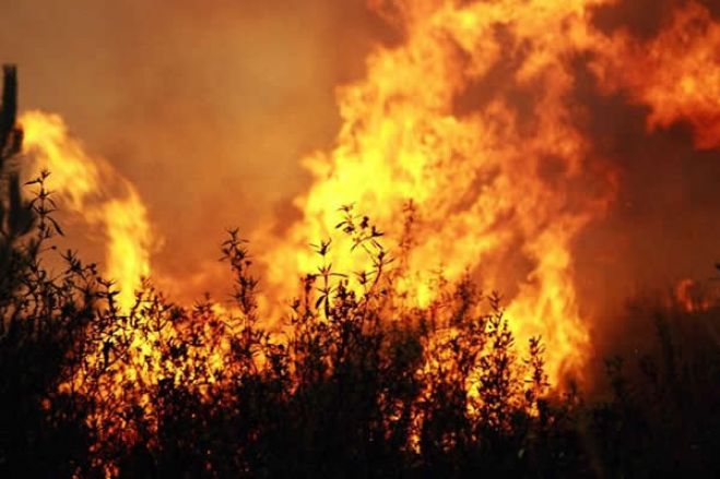 Queimada florestal para preparação de terras de cultivo provoca incêndio de grandes proporções no Kwanza Sul