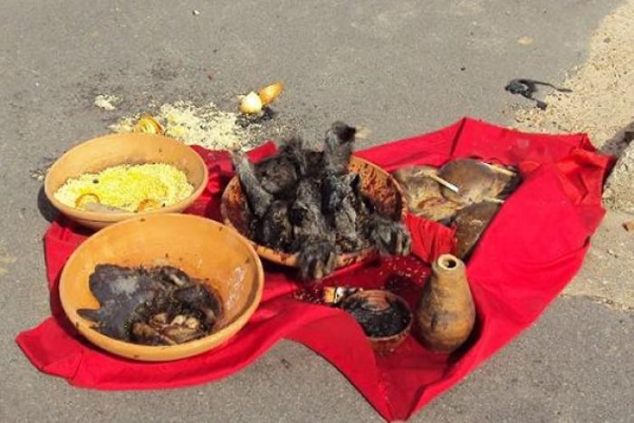 Em ritual de ocultismo mulher mata criança de 11 anos em Luanda