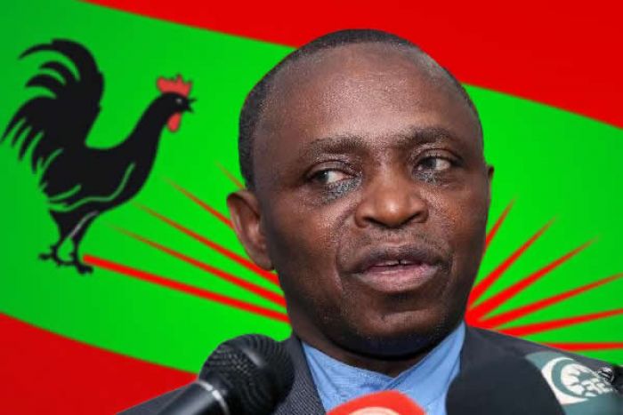 &quot;A política em Angola é um grande negócio que está a fazer muitos ricos na oposição&quot;, acusa Kamalata Numa