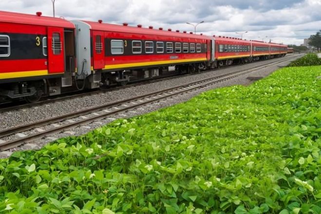 Angola e Banco Mundial lançam mecanismo para acelerar projetos no Corredor do Lobito