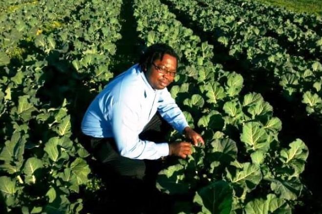 BAD financia emprego de jovens angolanos na agricultura e transportes com 79 milhões de dólares