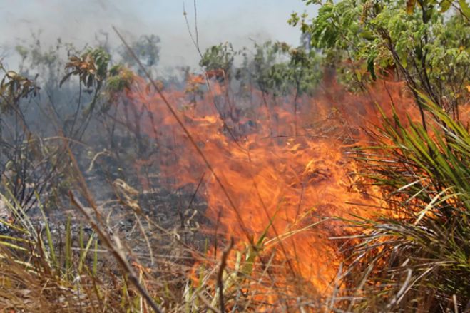 As queimadas em Angola são um desastre, os fogos do Amazónia uma distração
